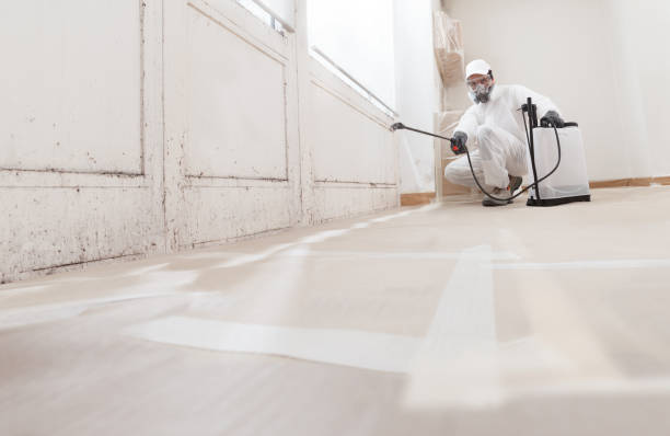 24/7 Emergency Mold Remediation experts in Reedville, VA